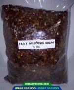 Cây giống muồng đen lấy gỗ (muồng xiêm) - Ảnh 3