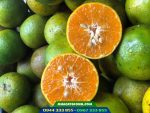 Quả quýt đường da xanh